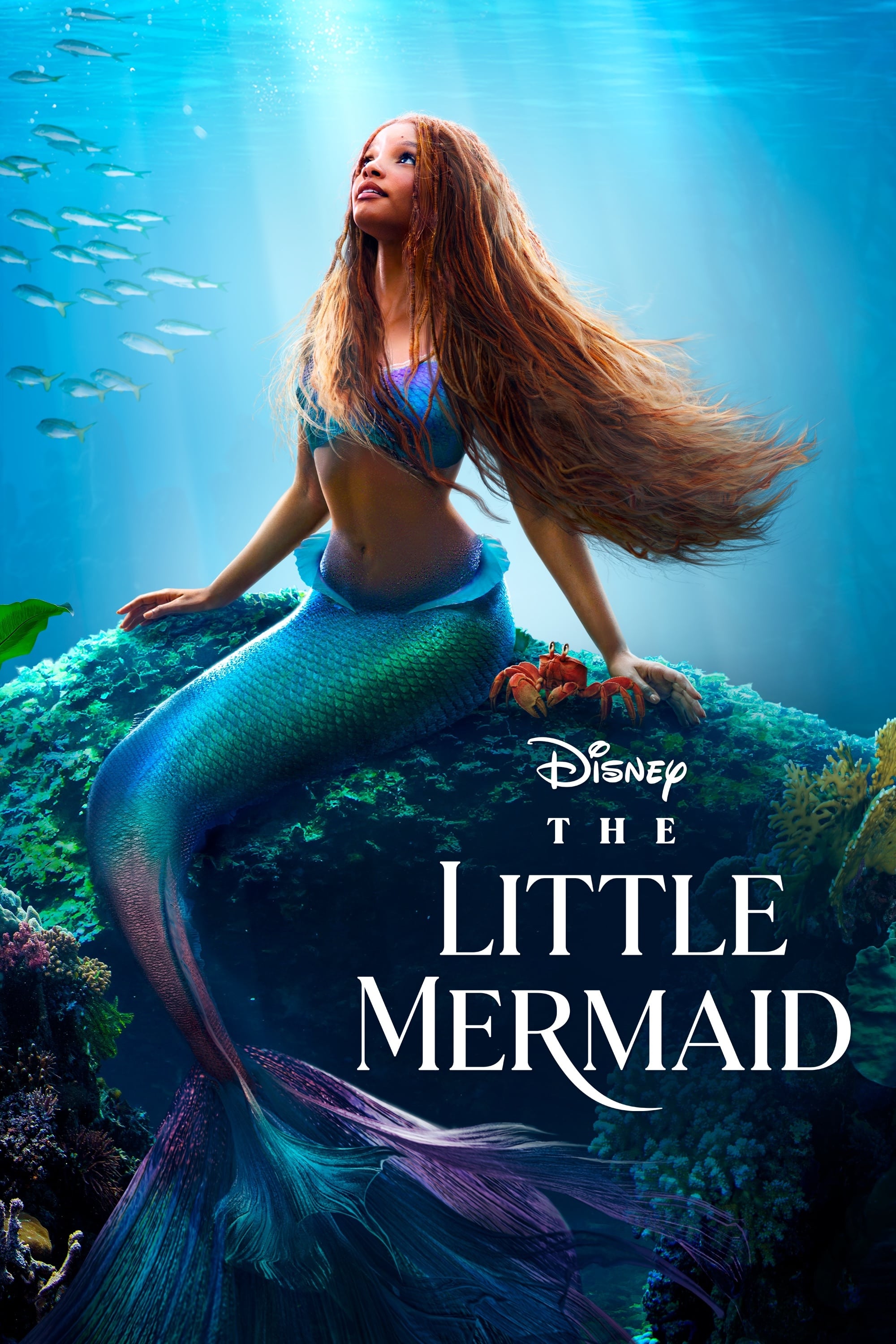 Little Mermaid Live Action 