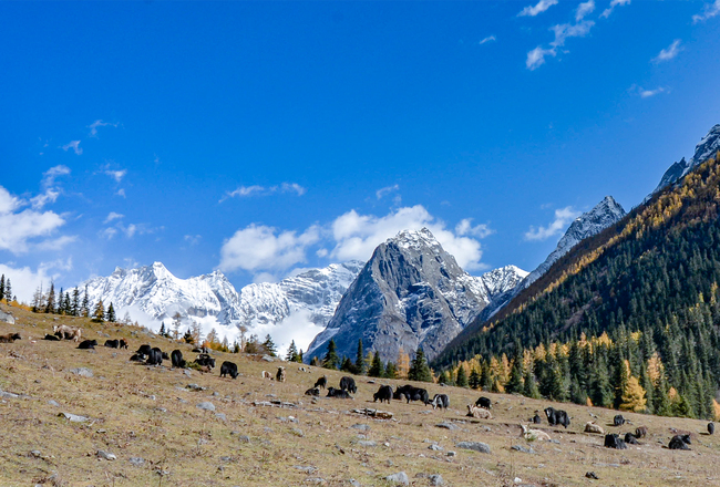 Four Sisters Valley 