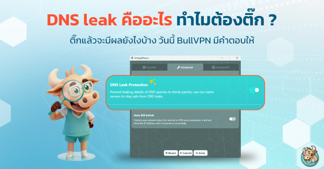 DNS leak คืออะไร 