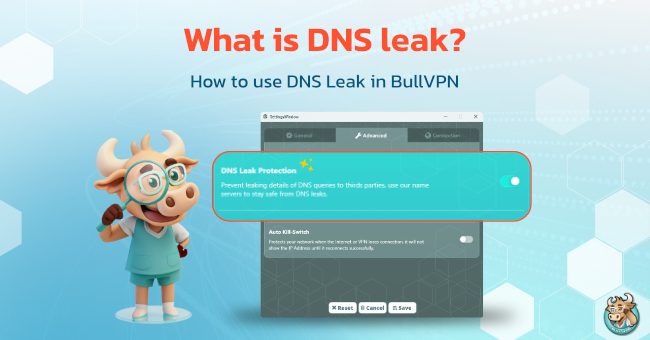 What is DNS leak?